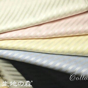 _ڊӃf[18yP10{z{N[|^n̐X oCAXRbgVu[50cmP