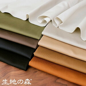 _ڊӃf[18yP10{z{N[|^yChzn̐X Rbg`m50cmP