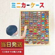 ★累計1万ケース突破★ミニカー 収納 ミニカーケース 15×7マス(最大210台収納/壁掛け) 扉無 |高さ71cm …