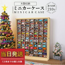 ★パパママ推薦 累計1万個突破★おもちゃ収納 ミニカー 収納 ミニカーケース 15×7マス(最大210台収納) 扉有 |高さ約74cm 幅約63cm 奥行き約16cm もりもり工房 トミカ 収納 コレクションケース ロングトミカ おもちゃ 収納 トミカ収納 トミカケース ミニカー トミカ 収納 棚