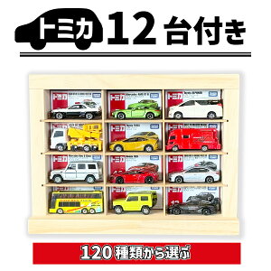 ~jJ[12t 120䂩Iׂ遚~jJ[ [ ~jJ[P[X 4×3}X(ő24[\/oHL) |21.7cm 29cm H[ g~J[ g~J [ RNVP[