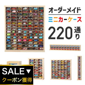 ★自由にオーダー 1点モノ★ミニカーケース　オーダーメイドミニカー( 扉なし)| トミカ 収納 コレクションケース ロングミニカー おもちゃ ショーケース ホットウィール収納ケース トミカ収納 棚 トミカケース ミニカー 収納棚 オーダーメイド