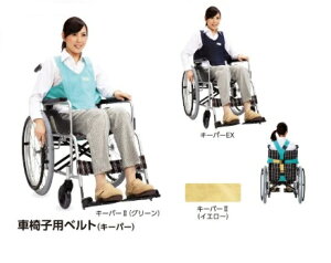 Ԉ֎qpxgiL[p[llj i100iDjj@100iO[ECG[̃o[Vu^Cvj@yԈ֎q֘AizyԂpSxgzyԂzyԈ֎qꗎh~