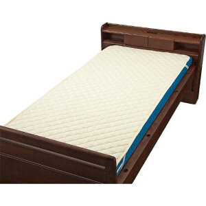 􂦂xbhpbgiȁE|j1@CG[@Ή}bgX̌݁AőŖ22cm@ypizyxbhpbhzyz