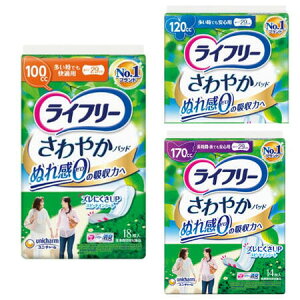 yP[X̔zj`[ Ct[ ₩pbh@zʁF100CC/120CC/170CC@y֗pCi[@ARpbg