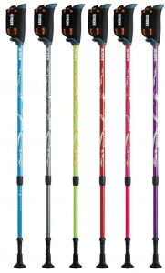 DFPvObVuY[@2{1g@EH[LO|[@mfBbN@|[@EI[LO@fBJ@X|[c@̗͋@^@VjA