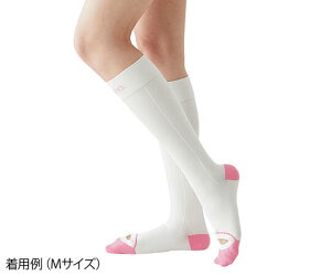 AVNEvJ L[vPA nC\bNX@1 j^[z[LE⏕pXbpt ×p eXgbLO RvbVXgbLO Ö XgbLO pP