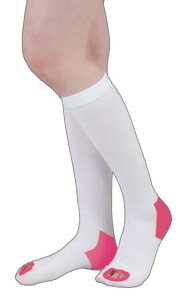 eXgbLO nC\bNX j^[z[t SS`LLTCY@1@×p e\bNX pnC\bNX C ×p ނ݉P p̉ނ i fBJT|[g n