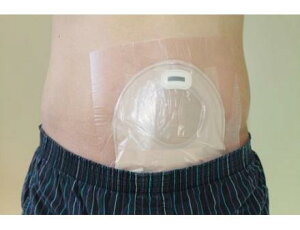 y[ցz~@ppE`یtBCg@ii400j20cm×20cm@60~N@20iK[[5ENbv1@tjpEH[^[K[hV[g Xg[}  V[g