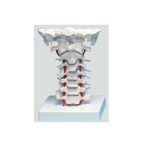 Ńfy͌^zyl̖͌^zyzyÁzyŌtzya@zywZz