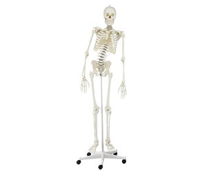 Ғŉ ifyzy͌^zyzywZzya@zy{݁zyl̖͌^z