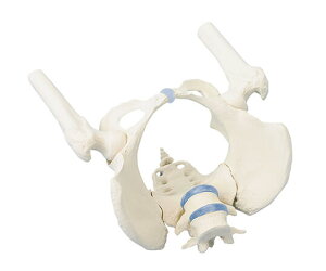 Ճf@iڍtjErler-ZimmeryzyizywZzyzy͌^zy`Oȁzyڍ@zy@z