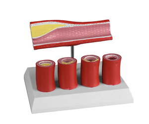 �����d�����f��