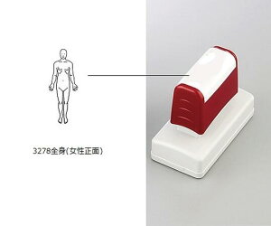 ×pX^v@Sgʁ@3278 Sg()yJezya@izy×pX^vz