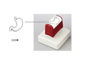 ×pX^v@݁@5355 ݁ya@izyJezy×pX^vz