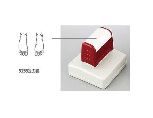 ×pX^v@̗@5355 ̗@yJezya@izy×pX^vz