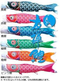 （SALE_セール　40％OFF）鯉のぼり　 単品 一匹　単品　1M　友禅鯉　（黒・赤・青・緑・橙・ピンク） メール便対応品