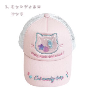 ˂`[t K[YLbv Lbv Xq bV bVLbv LbYTCY ̎q Xq q K[Y eB[Y ۈ牀 w ʊw v[g Mtg 킢  L