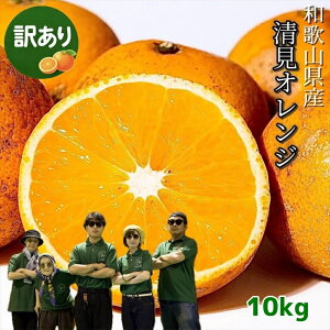 �����I�����W �a�̎R���Y �󂠂� 10kg �������� �T�C�Y���� ���� ���� ��� ���� ���� �I�����W �����I�����W 10�L�� ����݂݂��� �󂠂�݂��� �����^���S�[�� �󂠂�I�����W ����� �݂���