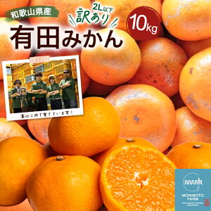 �݂��� �a�̎R���Y �󂠂� 10kg 2L�ȉ� �L�c�݂��� �Y�n���� �T�C�Y ���� �s���� ���� S M L 2L ���� �~�J�� �݂���10�L�� ���肾�݂��� ���B�݂��� ���������݂��� �L�c�݂���10kg �󂠂�݂����