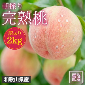 �󂠂� �a�̎R���Y ���̂� ���n�� 2kg �a�̎R�� ���n �� ���� �Y�n���� �Y�� �ʎ����� �{ �t���[�c �ʕ� �Â� �󂠂蓍 ������ �܂Ƃߔ��� ���ǂ� ����p �ƒ�p ��A�� �������� ���������ʕ� 