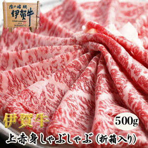 Y јa Mtg yɉꋍz ԐgԂ 500g 2`3lO   ܔ OdY Ε  ̓ ̓ a ăMtg ~Mtg ӂ邳Ɣ[