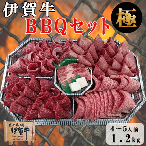 yɉꋍzBBQ o[xL[Zbg Ɂ 4`5lO 4퐷 / ēZbg HރZbg ɉꋍIē ɉꋍJr ɉꋍԐgē US^  Ε  ̓ ̓ a 