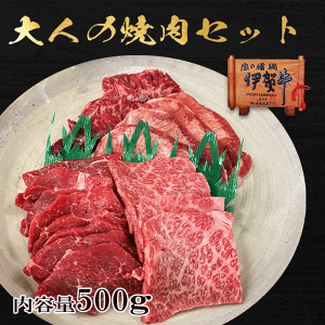 Yyɉꋍz l̏ēZbg [X Ԑg US^AUSn~ e500g OdY  Mtg OdY  Ε  ̓ ̓ a ăMtg ~Mtg BBQ@ӂ邳Ɣ[