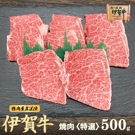 国産 黒毛和牛 【伊賀牛】 特選焼肉 500g 2～3人前 三重県産 高級 送料無料