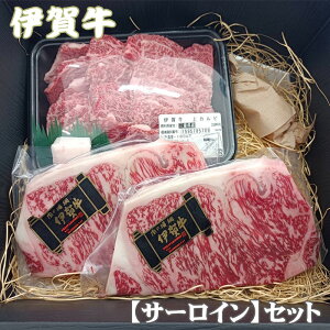 Y јa Hה yɉꋍzT[CXe[L /Jr 2`3lO  Mtg OdY  Ε  ̓ ̓ a ăMtg ~Mtg ӂ邳Ɣ[