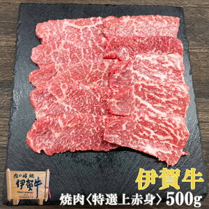 Y јa yɉꋍz I Ԑg ē 500g 2`3lO  OdY  Ε  ̓ ̓ a ăMtg ~Mtg BBQ ӂ邳Ɣ[