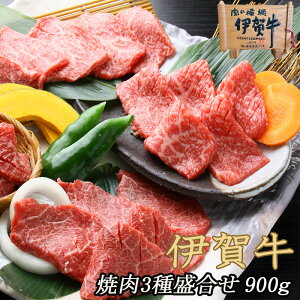 Y јa lߍ킹yɉꋍz ē3퐷 3`4lO IJr Jr Jr e300g v900g  Ε  ̓ ̓ a ăMtg ~Mtg BBQ ӂ邳Ɣ[