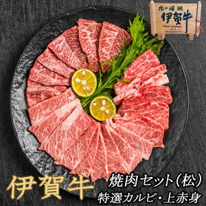 Y јa Hה yɉꋍz ēZbgijIJr /Ԑg e300g v600g 2`3lO  Mtg OdY  Ε  ̓ ̓ a ăMtg ~Mtg BBQ@