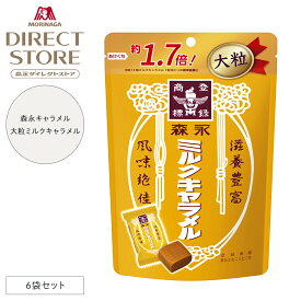 森永製菓 ミルクキャラメル大粒 132g×6袋