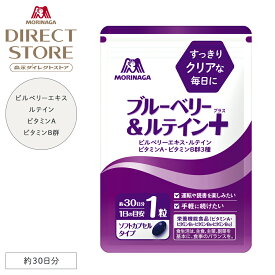 森永製菓 ブルーベリー＆ルテイン＋（プラス） 約30日分