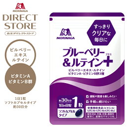 森永製菓 ブルーベリー＆ルテイン＋（プラス） 約30日分