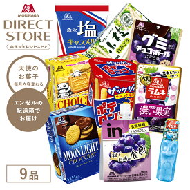 お菓子詰め合わせ 森永製菓 天使のお菓子 毎月変わるセット【毎月お届け内容が変わります】