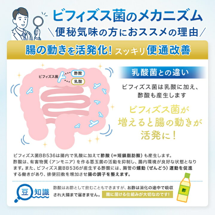 楽天市場】森永 ビヒダス 大腸のキホン ＜約30日分(1袋)＞ ビフィズス 
