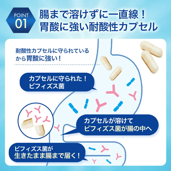楽天市場】【初回30%OFF 定期購入】ビヒダス 生きて届く ビフィズス菌 