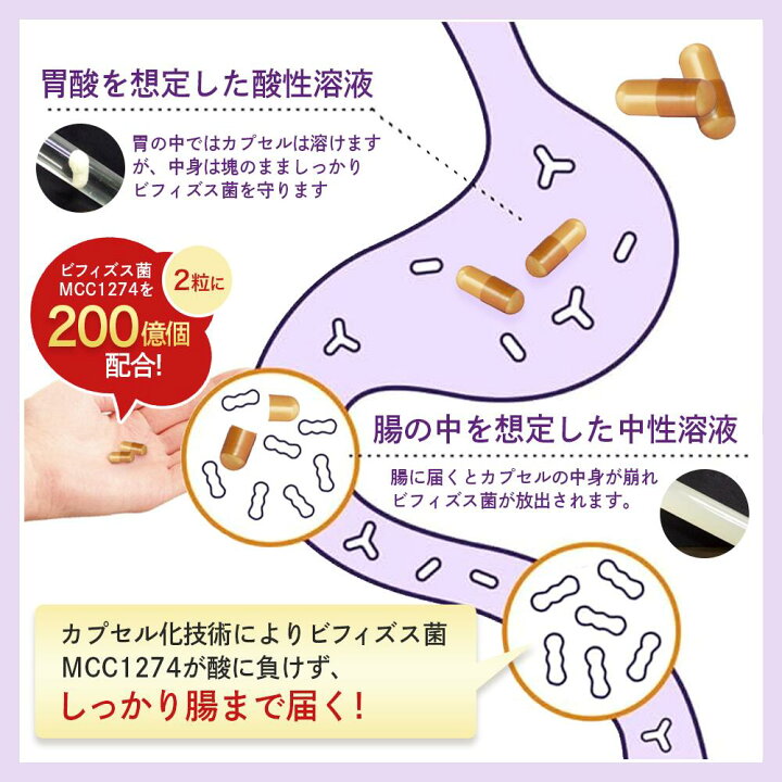 楽天市場】メモリービフィズス 記憶対策サプリ 約60日分(2袋 