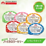エンジョイ小さなハイカロリーゼリー いろいろセット 6種×4個【 森永乳業 公式ショップ】 介護食 ハイカ…