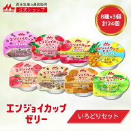 エンジョイカップゼリー いろどりセット 8種×3個【森永乳 公式ショップ】 介護食 ハイカロリー エネルギ…