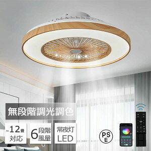�V�[�����O�t�@�����C�g DC ���[�^�[ LED �t�@���t���Ɩ� �Ɩ���� 60cm 6 ��E8 ��E14 ���Ή� �T�[�L�����[�^�[ �������F �I�V���� �ؖڒ� 2026 ���f��