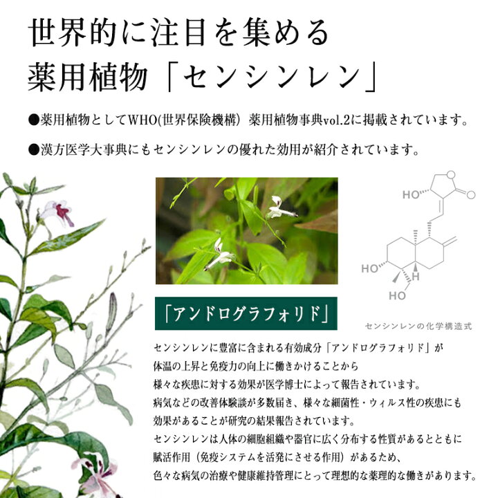 楽天市場 驚異のハーブagp センシンレン 3個セット アンドログラフィス サプリメント 健康維持 オーガニック 植物 安心 老舗専門店モリンガスマイルアース