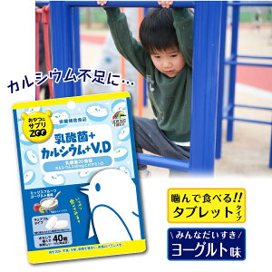 JVE q Tv ɃTvZOO _+JVE+r^~D `Au^Cv ~bNXt[c[Og 40 j}bgP   l