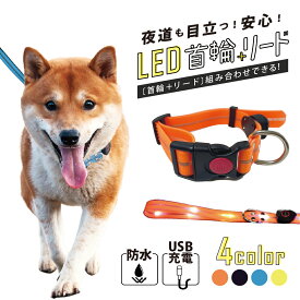 【光る首輪＆リードセット】LED 首輪 犬 USB充電式 ギフト 光る首輪 ペット用 散歩 夜間 虹色 レインボー 防水 軽量 おしゃれ かわいい 安全対策 小型犬 中型犬 夜 LEDライト付 首輪セット USB充電 リード付き 光る 犬用品 グッズ 散歩用