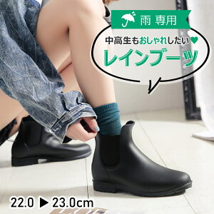 yX[p[SALEN[|zCV[Y fB[X w LbY WjA C Cu[c TChSA h y ʊw  ₷ 22cm 23cm V[g ~J JC  Xm[V