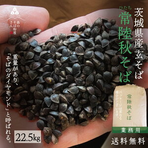 y  z ߘa6NY 錧Y 헤H  10kgE22.5kg Ɩp Y   ΂̎ ̎ Δ  