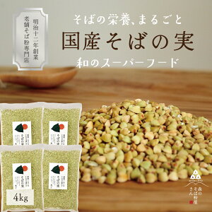yzY΂̎^4Kg st`Ղ̍YΎ4000g ۂʂ ނ 䥂łĂ̂܂ܔ̎IG1Hi@Oet[@H@ہ@r^~B1@^p