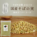 ＼10日21:00～(500g)5時間限定16%OFF／【 送料無料 】 国産 そば実 200g～5kg そばの実 蕎麦の実 ソバの実 そばのみ 丸ぬき むき実 レジスタントプロテイン スーパーフード グルテンフリー 料理 お菓子